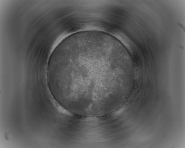 X0000097651094200803071504