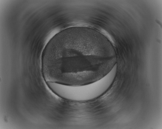 X0000097651095200803071504