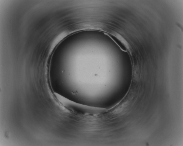 X0000097651096200803071504