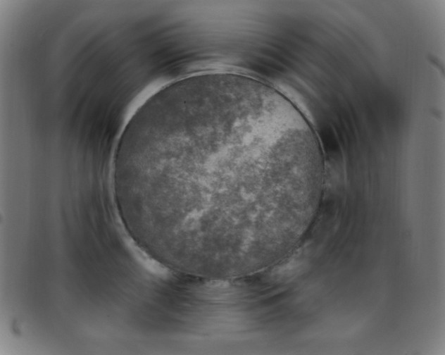 X0000097651098200803071504