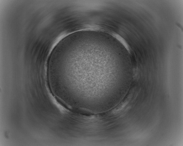 X0000097651099200803071503