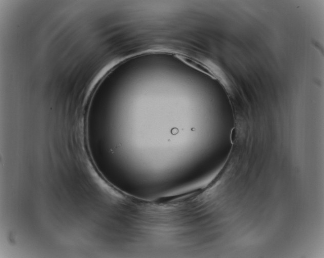 X0000097651100200803071503