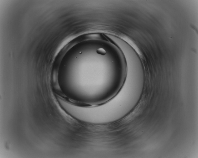 X0000097651101200803071503