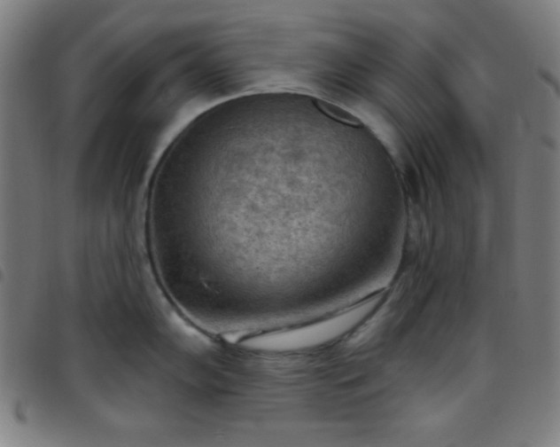 X0000097651102200803071503