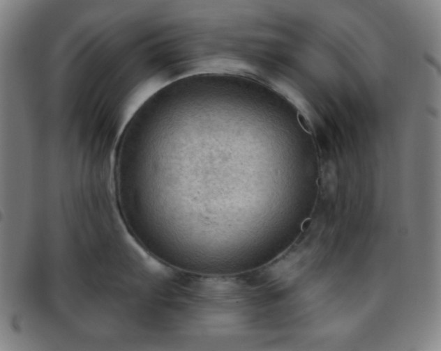 X0000097651103200803071503