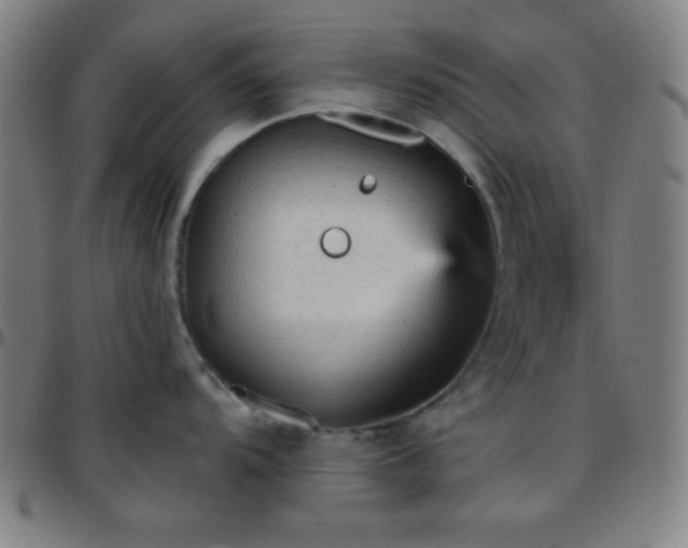 X0000097651104200803071503