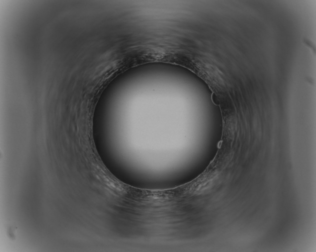 X0000097651105200803071503