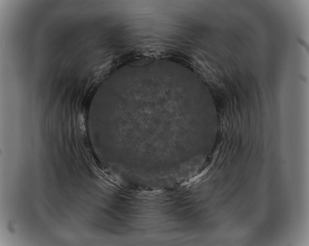 X0000097651106200803071503