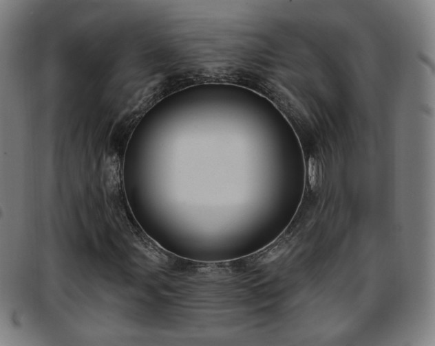 X0000097651107200803071503