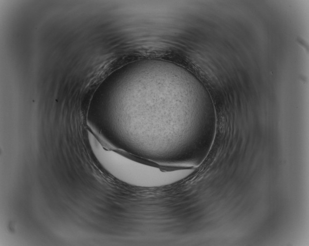 X0000097651108200803071503