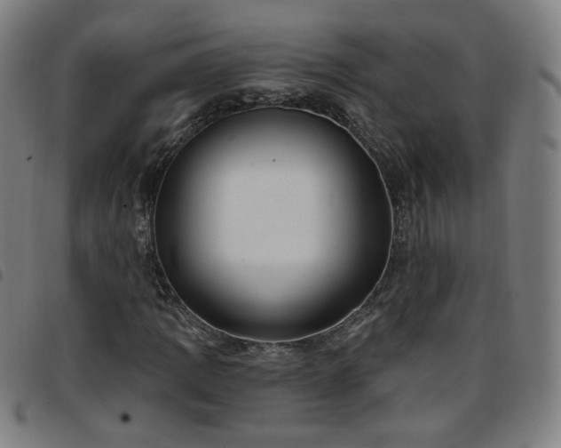 X0000097651109200803071503