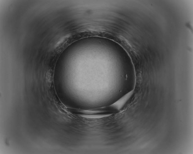 X0000097651110200803071503