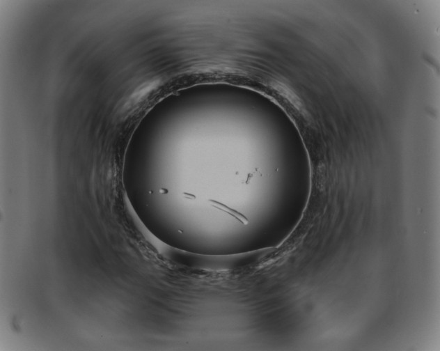 X0000097651111200803071503