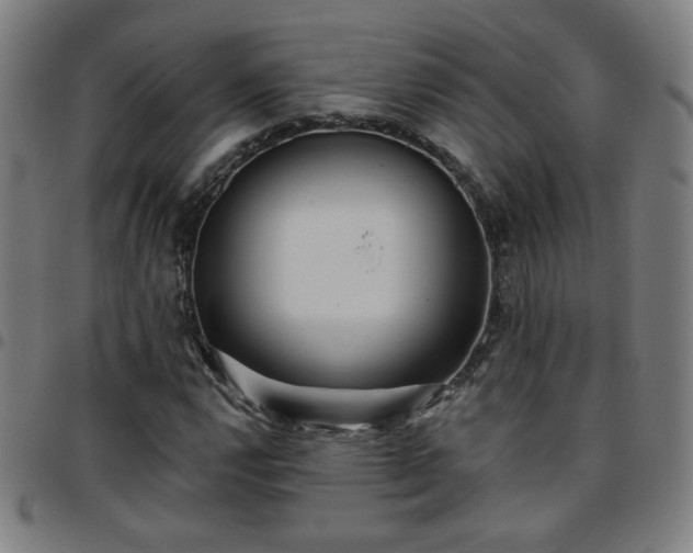 X0000097651112200803071503