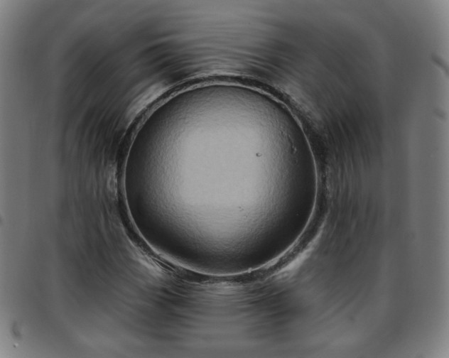 X0000097651113200803071503