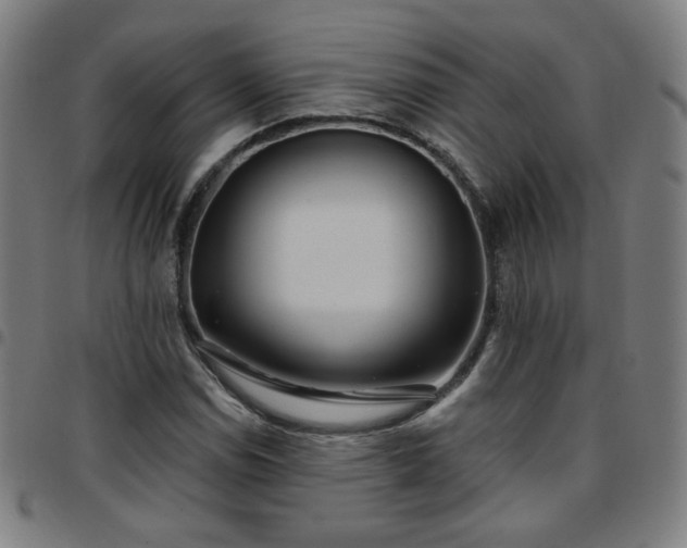 X0000097651114200803071503