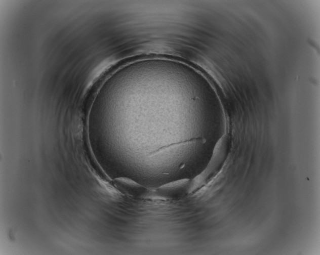 X0000097651115200803071503