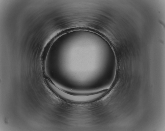 X0000097651118200803071503