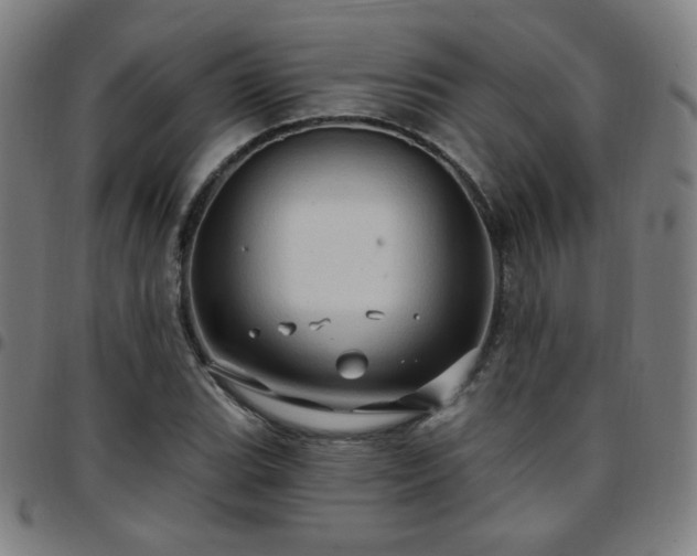 X0000097651119200803071503