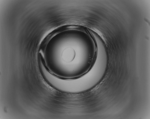 X0000097651120200803071503