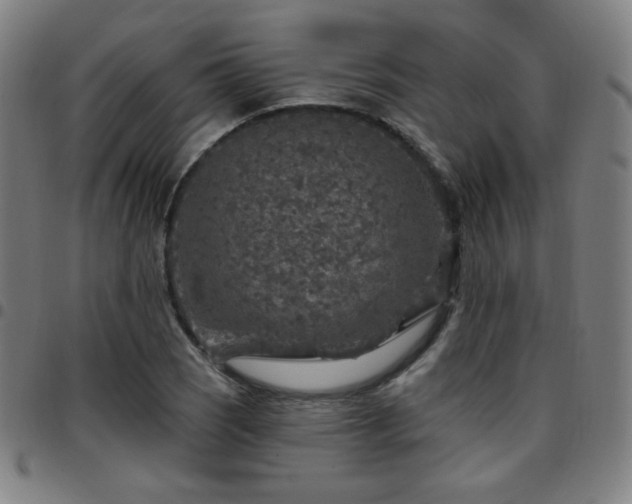 X0000097651121200803071503