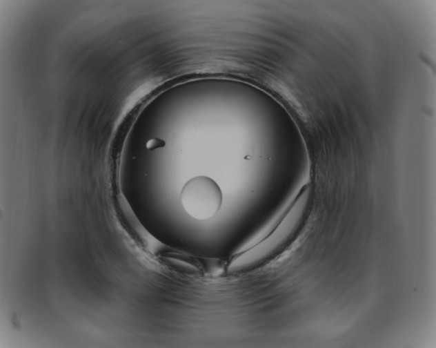 X0000097651122200803071503