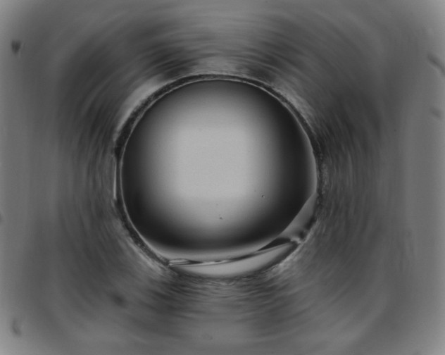 X0000097651123200803071503