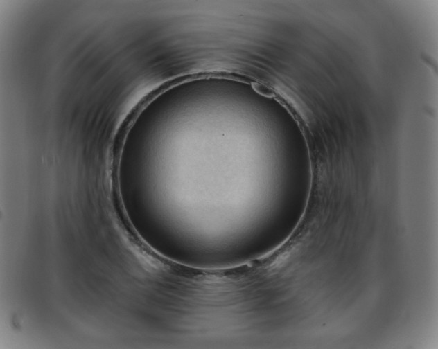 X0000097651124200803071503