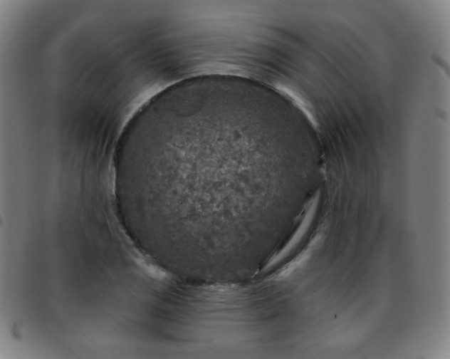 X0000097651125200803071503