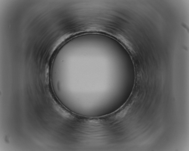 X0000097651126200803071503