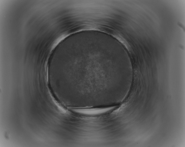 X0000097651127200803071503