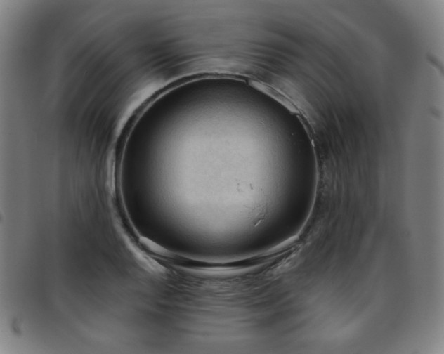 X0000097651128200803071503