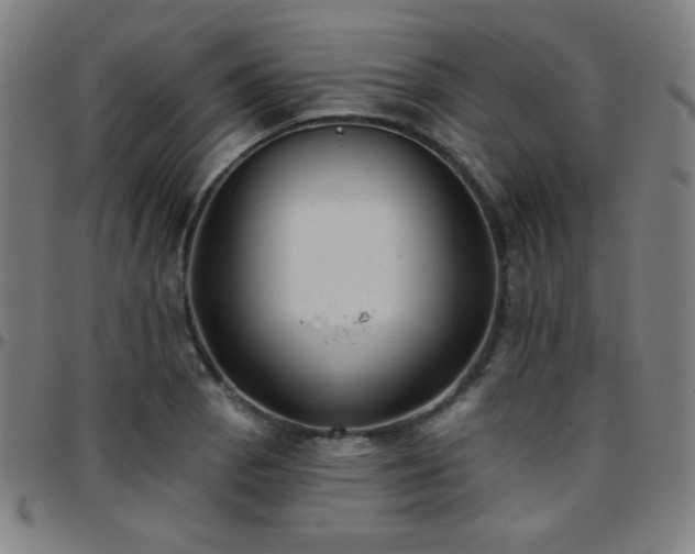 X0000097651129200803071503