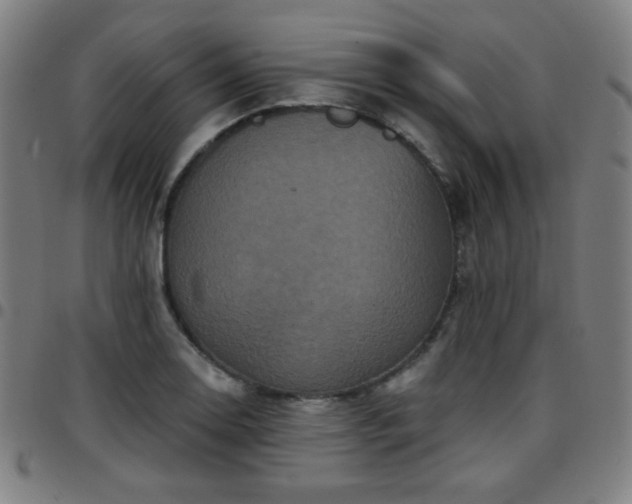 X0000097651130200803071503