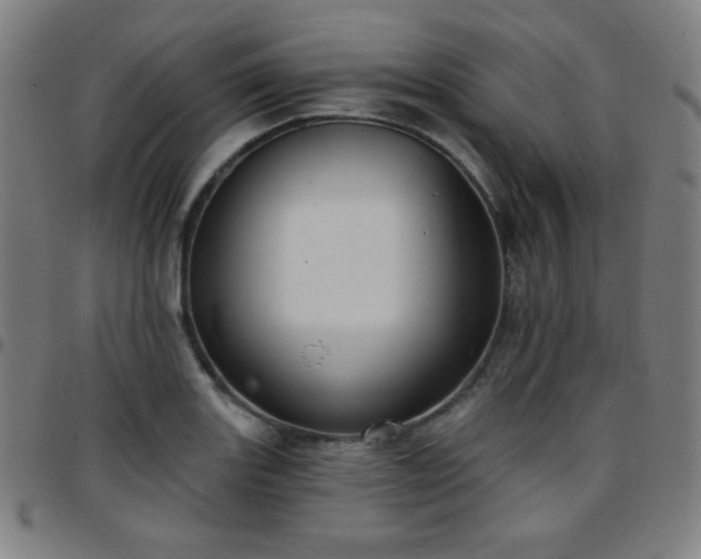 X0000097651131200803071503