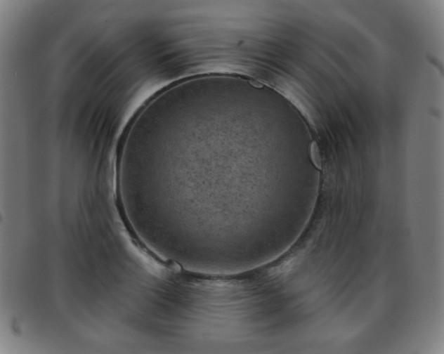 X0000097651132200803071503