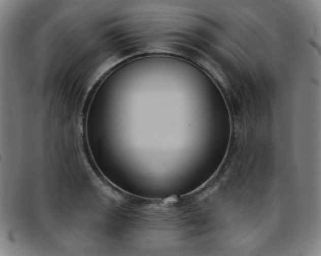 X0000097651133200803071503