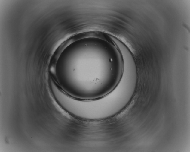 X0000097651134200803071503