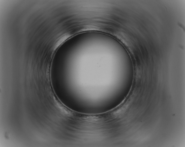 X0000097651137200803071503