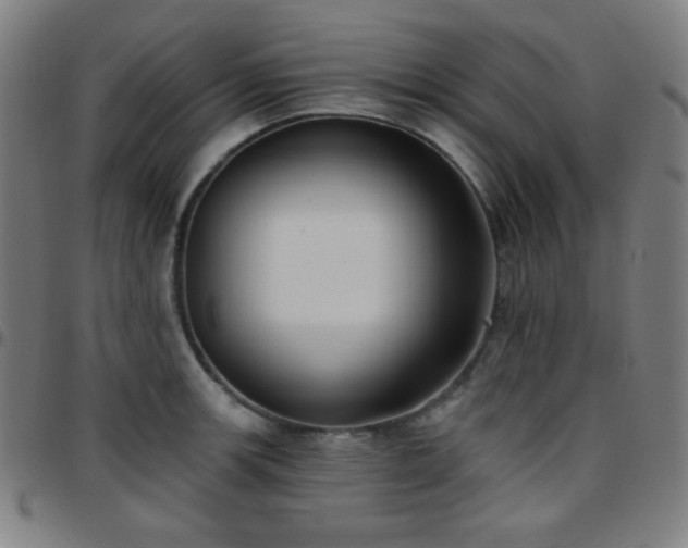 X0000097651139200803071503