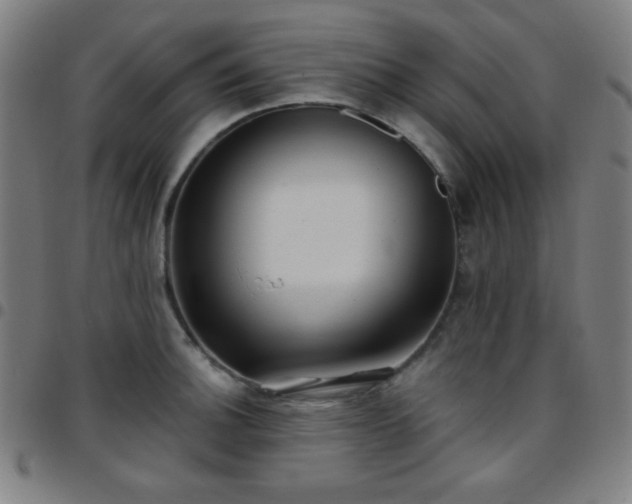 X0000097651140200803071503