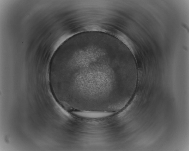 X0000097651141200803071503