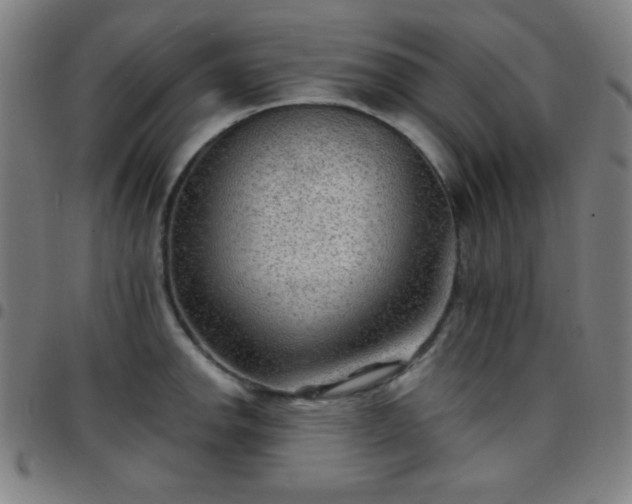 X0000097651142200803071503