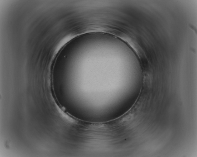 X0000097651143200803071503