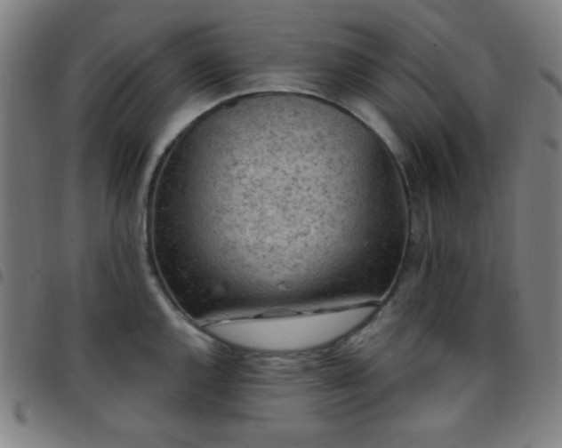 X0000097651144200803071503