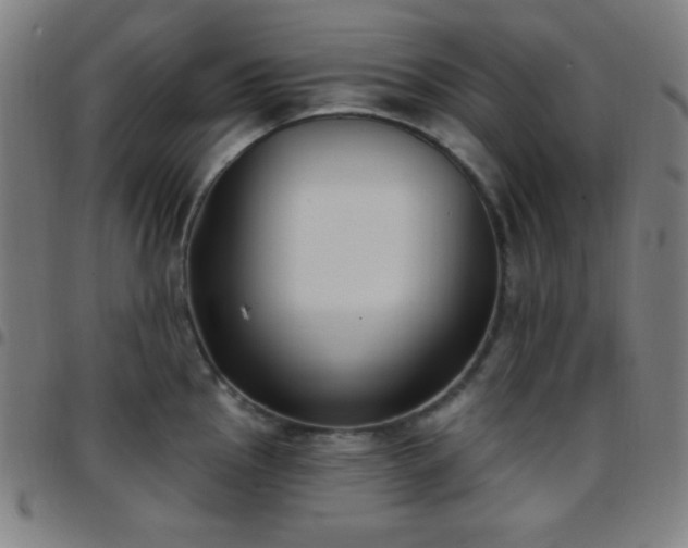 X0000097651145200803071503