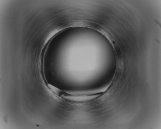 X0000097651147200803071503