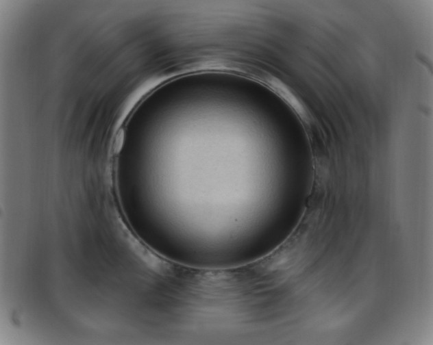 X0000097651148200803071503