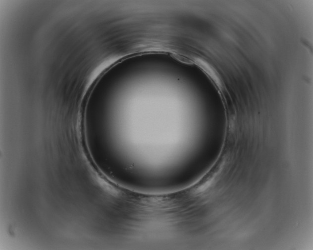 X0000097651149200803071503