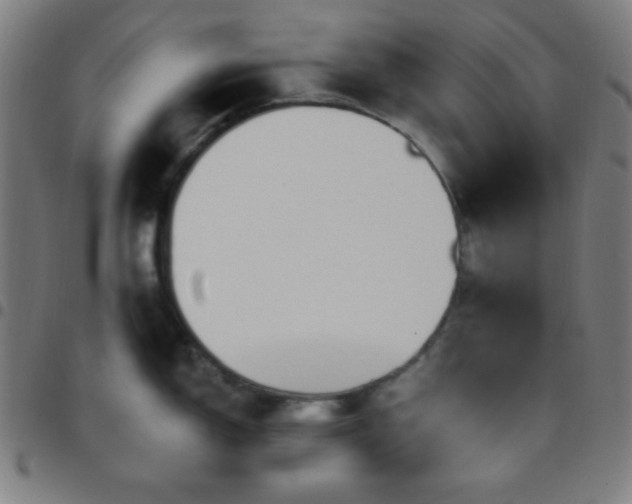 X0000097651150200803071503